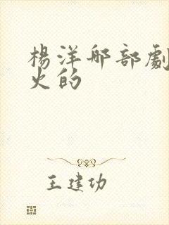 杨洋哪部剧开始火的