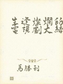 生逢灿烂的日子电视剧大结局封面