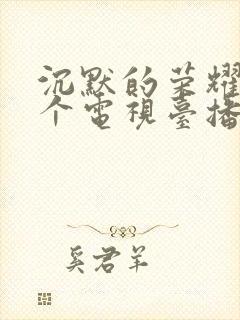 沉默的荣耀在哪个电视台播放呢