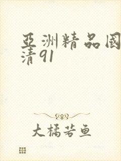 亚洲精品国产高清91