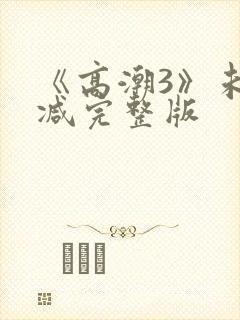 《高潮3》未删减完整版封面