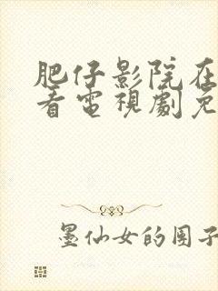 肥仔影院在线观看电视剧免费播放封面