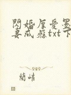 闪婚厚爱墨少宠妻成瘾txt下载