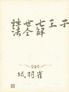 转世七王子的魔法全解