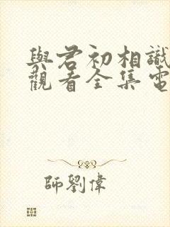 与君初相识免费观看全集电视剧