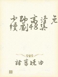少帅高清免费连续剧48集