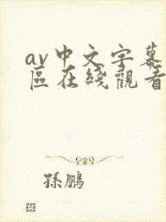 av中文字幕专区在线观看