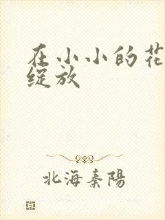 在小小的花蕾处绽放