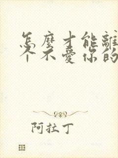 怎么才能离开一个不爱你的人