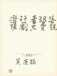 潜行者38集电视剧免费观看