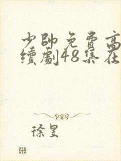 少帅免费高清连续剧48集在线观看