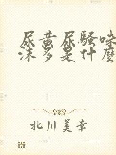 尿黄尿骚味重泡沫多是什么原因