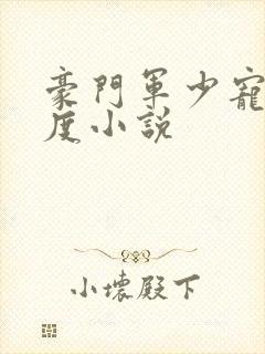 豪门军少宠妻无度小说