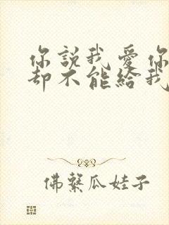 你说我爱你太多却不能给我什么封面