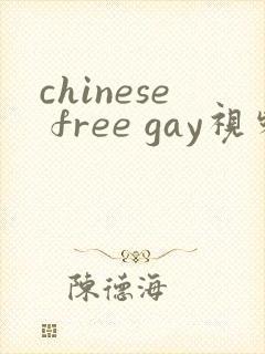 chinese free gay视频封面