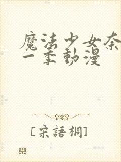 魔法少女奈叶第一季动漫封面