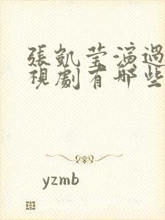 张凯莹演过的电视剧有哪些封面