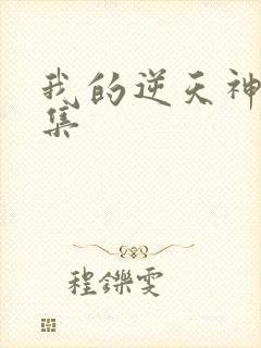 我的逆天神器全集