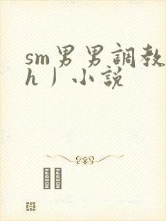 sm男男调教〈h丿小说