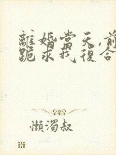 离婚当天,前夫跪求我复合短剧