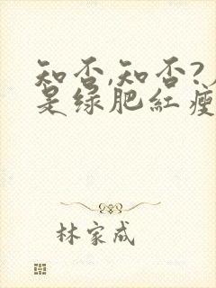 知否,知否?应是绿肥红瘦是什么意思