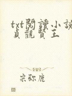 txt阅读小说贞观贤王