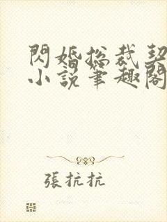 闪婚总裁契约妻小说笔趣阁