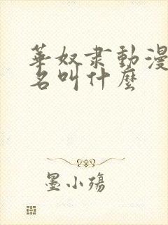 华奴隶动漫中文名叫什么