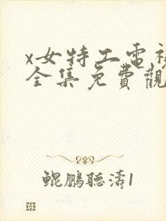 x女特工电视剧全集免费观看封面