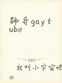 帅哥gay tube