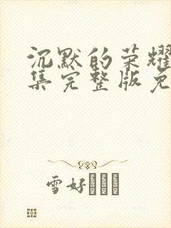 沉默的荣耀40集完整版免费观看