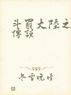 斗罗大陆之死神传说封面