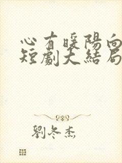 心有暖阳向云霄短剧大结局