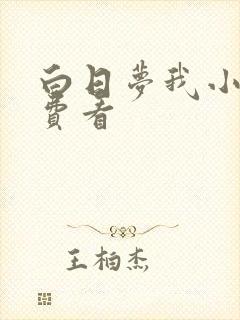 白日梦我小说免费看封面