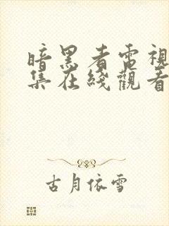 暗黑者电视剧全集在线观看免费封面