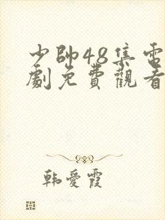 少帅48集电视剧免费观看