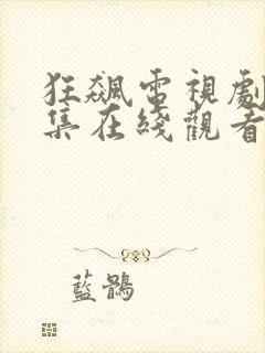 狂飙电视剧40集在线观看免费狂飙