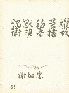 沉默的荣耀哪个卫视台播放