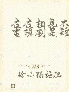 夜夜相见不识君电视剧是短剧吗