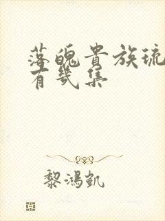 落魄贵族琉璃川有几集