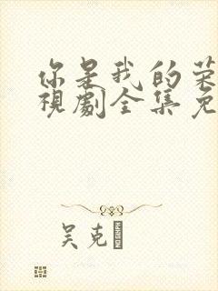 你是我的荣耀电视剧全集免费观看完整版