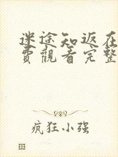 迷途知返在线免费观看完整版国语