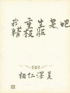 我重生是吧程逐精校版