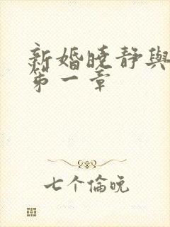 新婚晓静与翁公笫一章封面