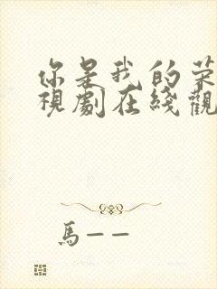 你是我的荣耀电视剧在线观看星辰