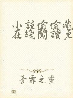 小说偷偷藏不住在线阅读免费