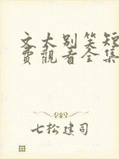 文太别笑短剧免费观看全集高清版