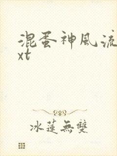 混蛋神风流史txt封面