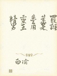 精灵梦叶罗丽的男主角是谁封面