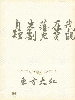 月光落在我手上短剧免费观看